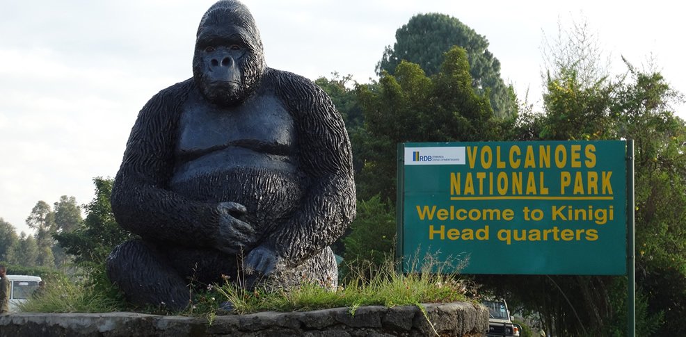 Volcanoes National Park Uganda Ravina tours and Travels