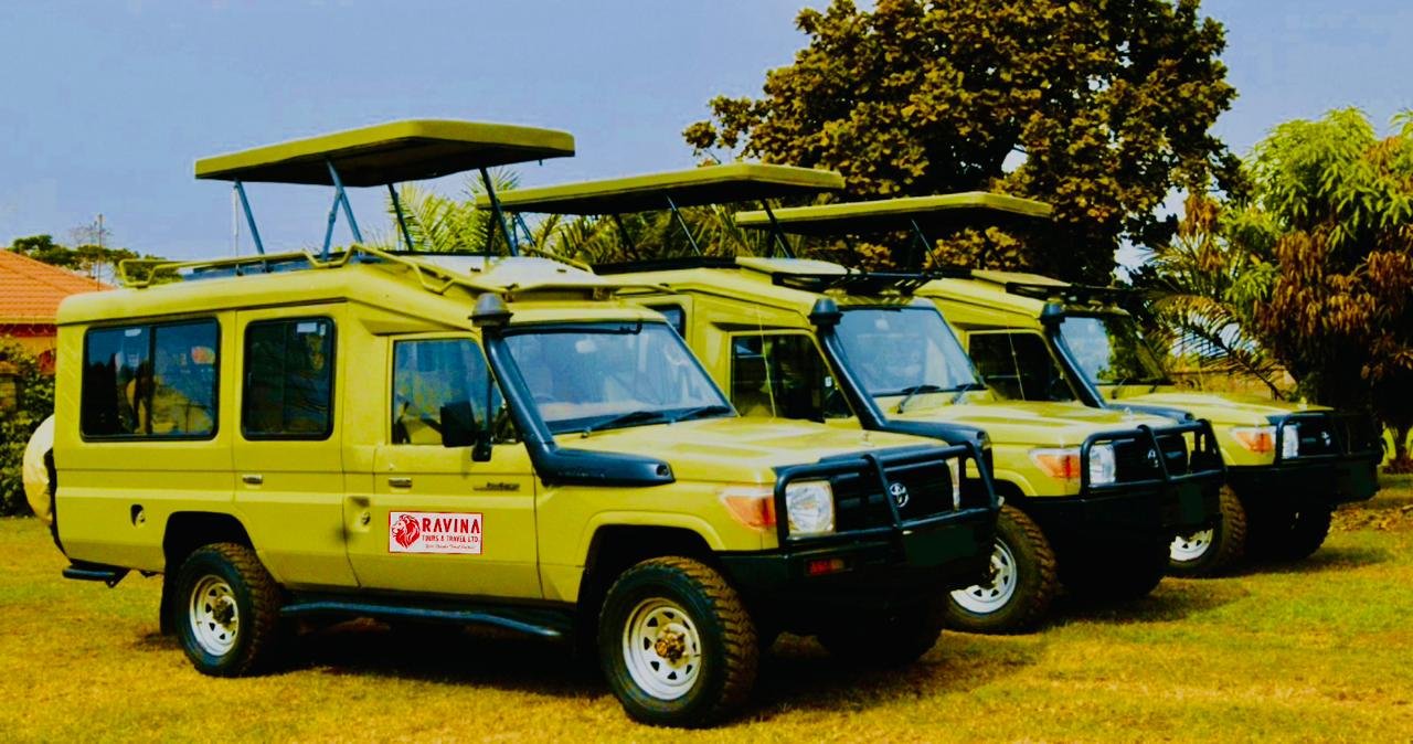 Ravina Fleet