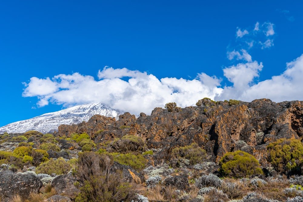 Mount Kilimanjaro climbing