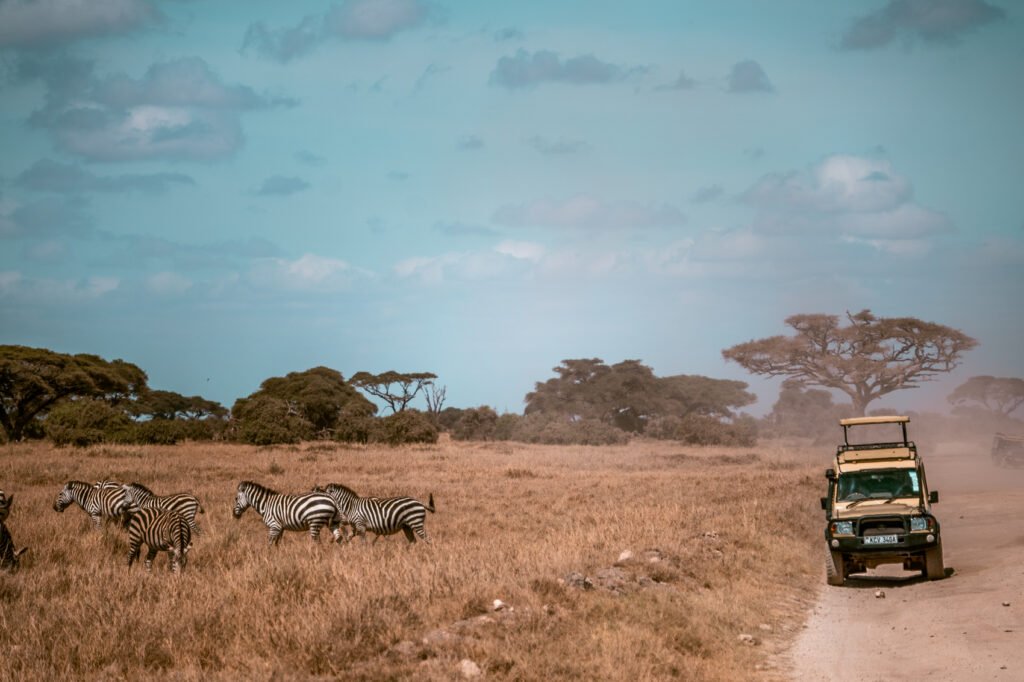 Discover Kenya